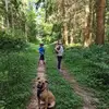 Sally Griggs605 - @sallygriggs605 - TikTok