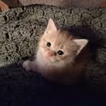 Sally Griggs - @griggssally - Instagram