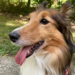 Sally Kerley Griggs - @sallykerleygriggs - Instagram