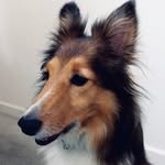 Sally Kerley Griggs - @sally_kerley_griggs - Instagram