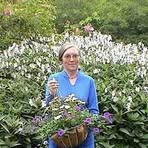 Sally Lasselle-Grigg - Facebook