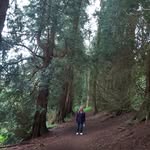 sally gunnell - @gunnell.sally - Instagram