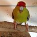 Sally Guy - Facebook