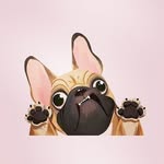 Sally Guy - @guysgirl40 - Instagram