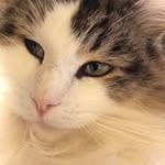 Sally Guy - @jollie0503 - Instagram