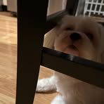 Sally Guzman - Facebook