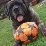 Sally Hackett - @sallyann5444 - Instagram