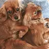 Sally Hackett - @sally.hackett - TikTok