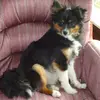 sallyhaley4 - @sallyhaley4 - TikTok