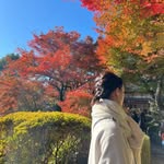 sally - @sally_halloween - Instagram
