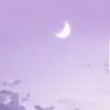 Sally(셀리) - @sallyhallow - TikTok