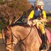 Sal Halpin - Facebook