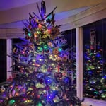 Sally L. Hamlin-Householder - @slhhouse - Instagram