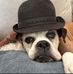 Sally Hamm - Facebook