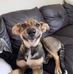 Sally Hamm - Facebook
