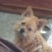 Sally Hamm - Facebook