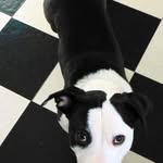 Sally Harding - @neillharding - Instagram