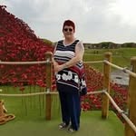 Sally Harding - @sallyh6741 - Instagram