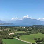 Sally Harmon - @sallyharmon43 - Instagram