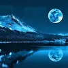 Sally Harmon - @sally.harmon - TikTok