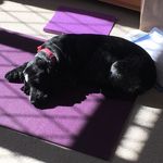 Sally Harper - @sally_harper_yogi - Instagram