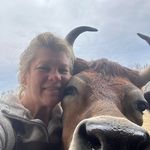 Sally Harrison - @sally_harrison - Instagram