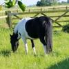 sallyharrison249 - @sallyharrison249 - TikTok