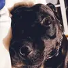 sallyhawkinsjacks - @sallyhawkinsjacks - TikTok