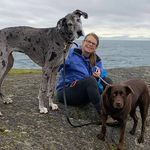 Sally Davis Heard - @sallyheard6 - Instagram