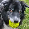 Sally Heckendorn - @sallyheckendorn - TikTok