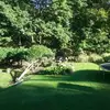 sallyheckman545 - @sallyheckman545 - TikTok