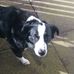 Sally Hedges - Facebook