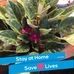 Sally Hedges - Facebook