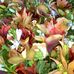 Sally Hendricks - Facebook
