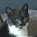 Sally Herd - Facebook