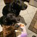 Sally Herrick - Facebook