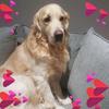 Sally Herron486 - @sallyherron1 - TikTok