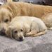Sally Herron - Facebook