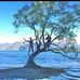 Sally Hess - Facebook