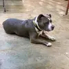 Sally Hester - @sallyscraftydesigns - TikTok