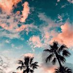 @sally_hoagie - Instagram