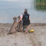 Sally Jo Hoaglund - @sallyjohoaglund - Instagram