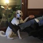 Sally Hock Brooks - @shbrooks1954 - Instagram