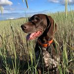 Sally Hockema - @sallyhockema1 - Instagram