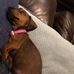 Sally Hodgson - Facebook