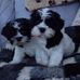 Sally Hodson - Facebook