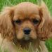Sally Hoff - Facebook