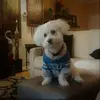 sallyhoffmann1 - @sally.hoffmann1 - TikTok
