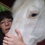 Sally Holcomb - @holcombsally - Instagram
