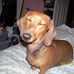 Sally Holcomb - Facebook